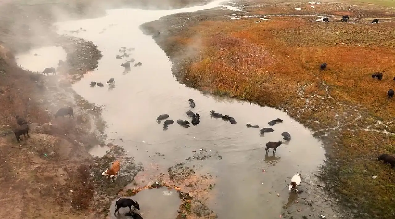Mandaların Budaklı Kaplıcası'nda keyifli temizliği dronla görüntülendi