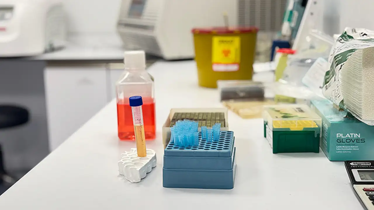 Çocuklarda bağışıklık sorunlarına çözüm