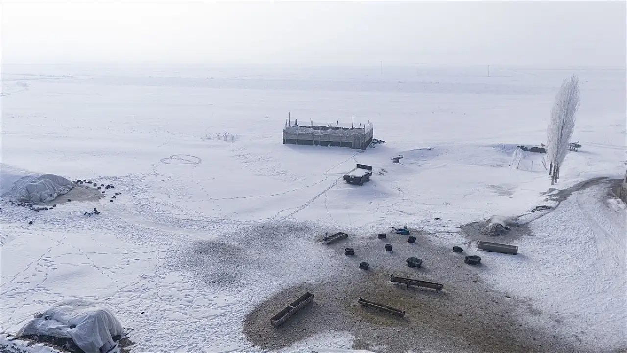 Van'da kutupları aratmayan yaşam