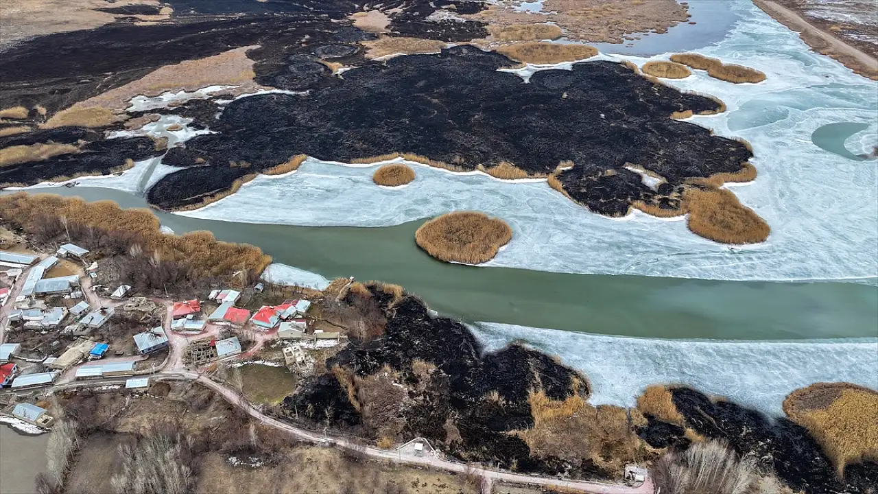 Sazlık yangınları göçmen kuşları tehdit ediyor