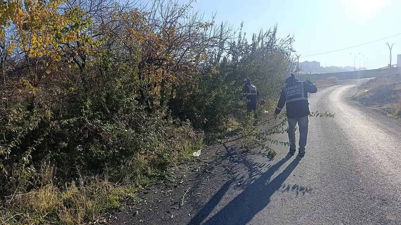 Van Edremit'te Görüşü Engelleyen Ağaçlar Budanıyor