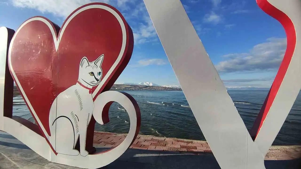 Van'da sağanak sonrası Artos Dağı karla kaplandı, doğal güzellikler beyaza büründü!