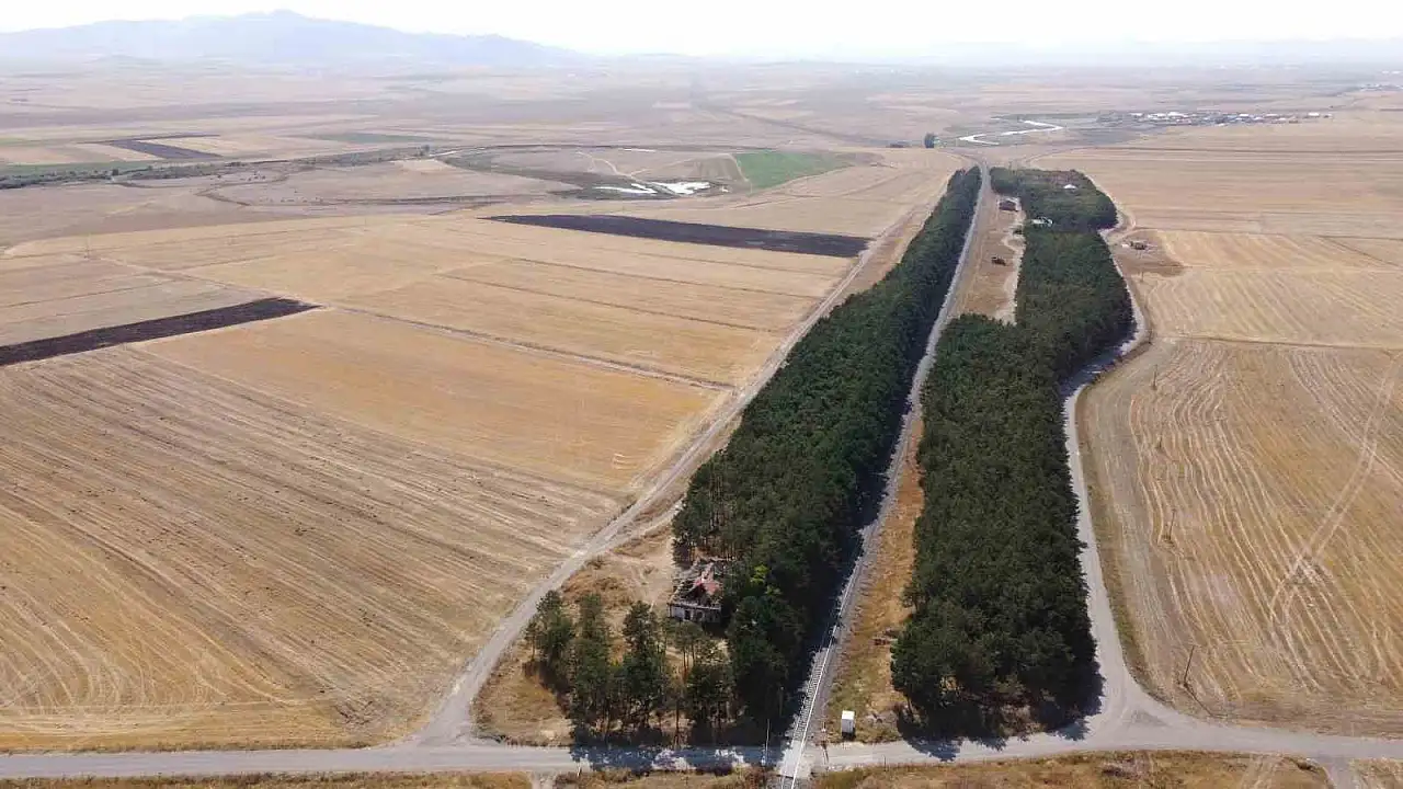 Bozkırın Ortasındaki Yeşil İnci: Benliahmet Tren İstasyonu'nun Sonbahar Şöleni