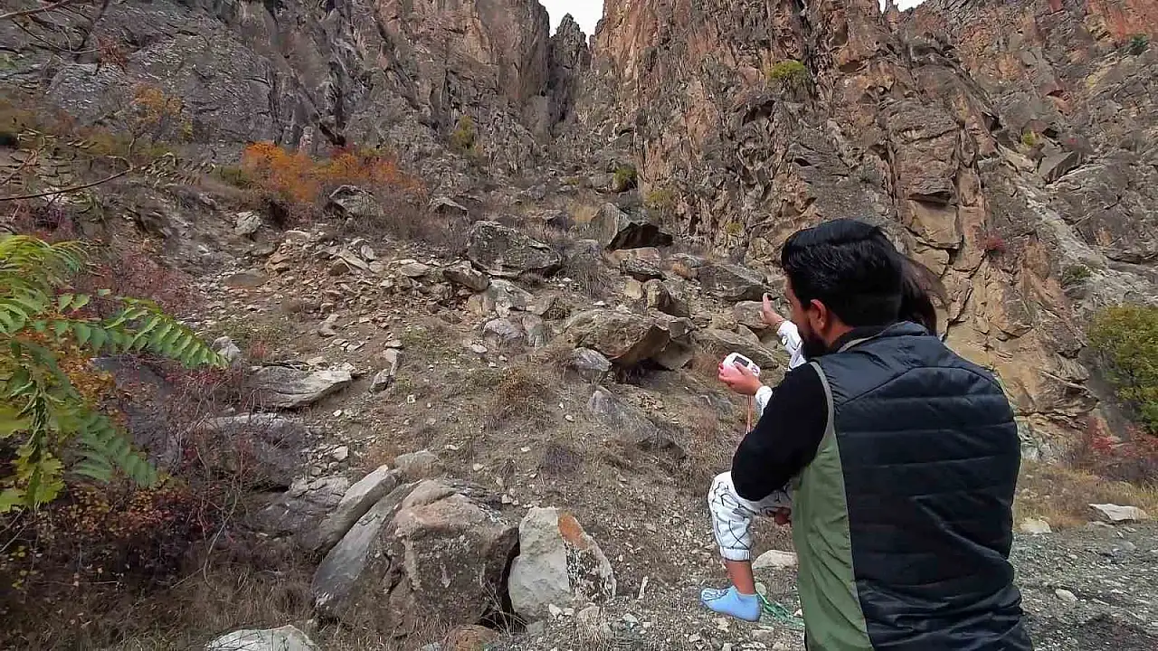 Yüksek rakımlardan inen dağ keçileri Erzurum'da ilgi odağı oldu