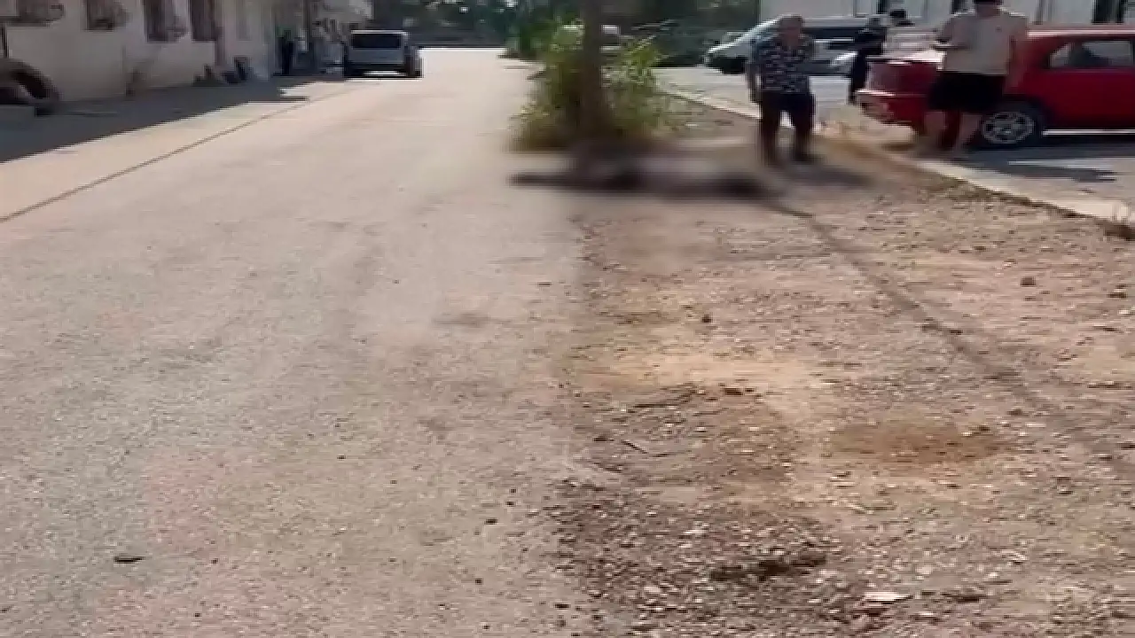 Eşi ve eniştesini tabancayla öldüren şüpheli tutuklandı: Genç kadının cenazesi Ağrı'ya gönderildi