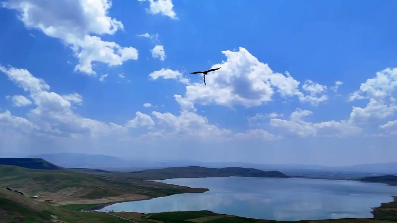 Ağrı'da belgeselleri aratmayan görüntü! Kartal yılanla gökyüzünde süzüldü