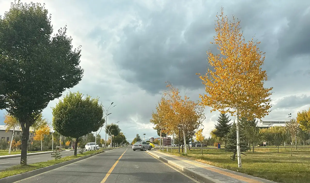 Ağrı'da sonbaharın son renkleri yerini kışa bırakıyor