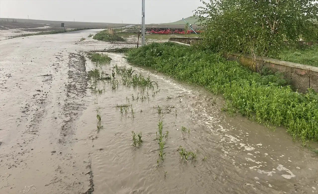 Kars'ta bir mahalle günü sel sularıyla geçirdi