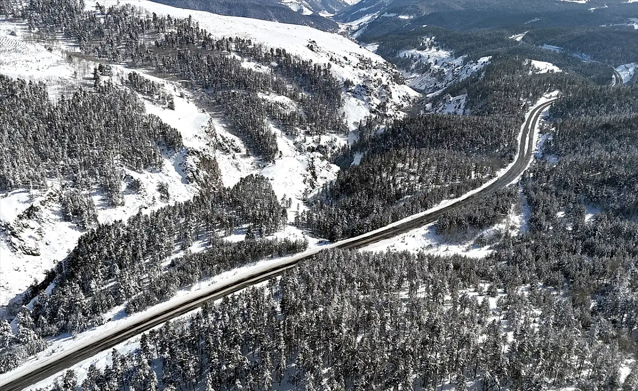 Sarıkamış'ta Sarıçam Ormanları beyaza büründü