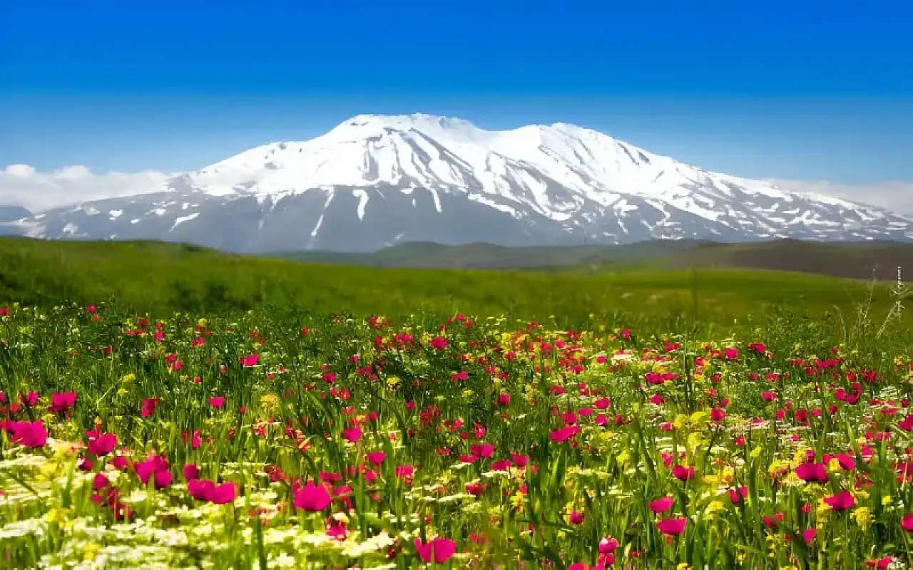 Ağrı Dağı Milli Parkı Rehberi | Ağrı Dağı hakkında Bütün Bilinmeyenler