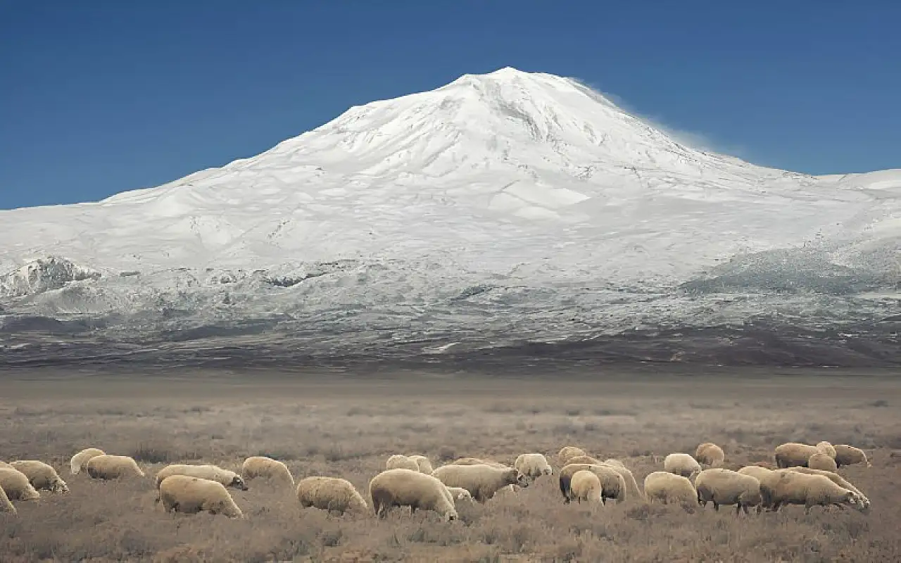 Ağrı Dağı Milli Parkı Rehberi | Ağrı Dağı hakkında Bütün Bilinmeyenler