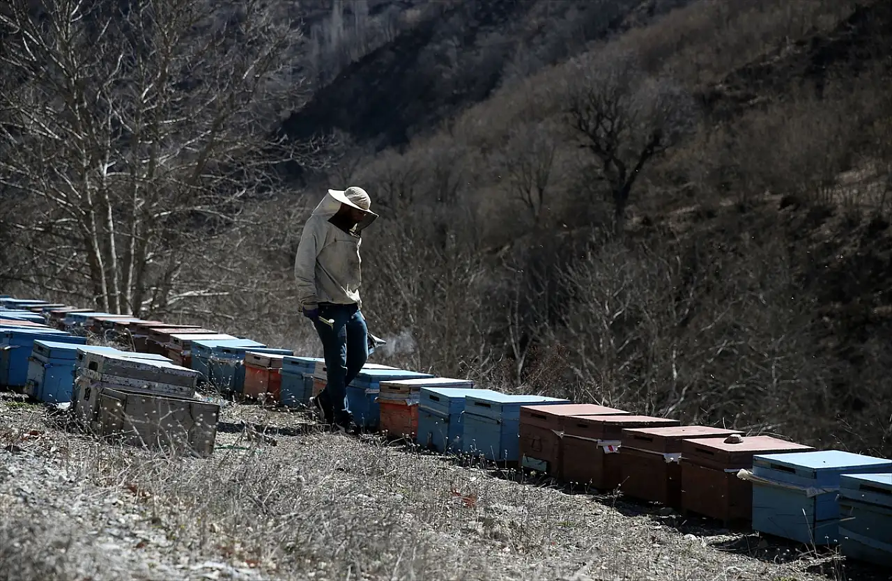 Bitlisli arıcılar yayla sezonu için hazırlıkta