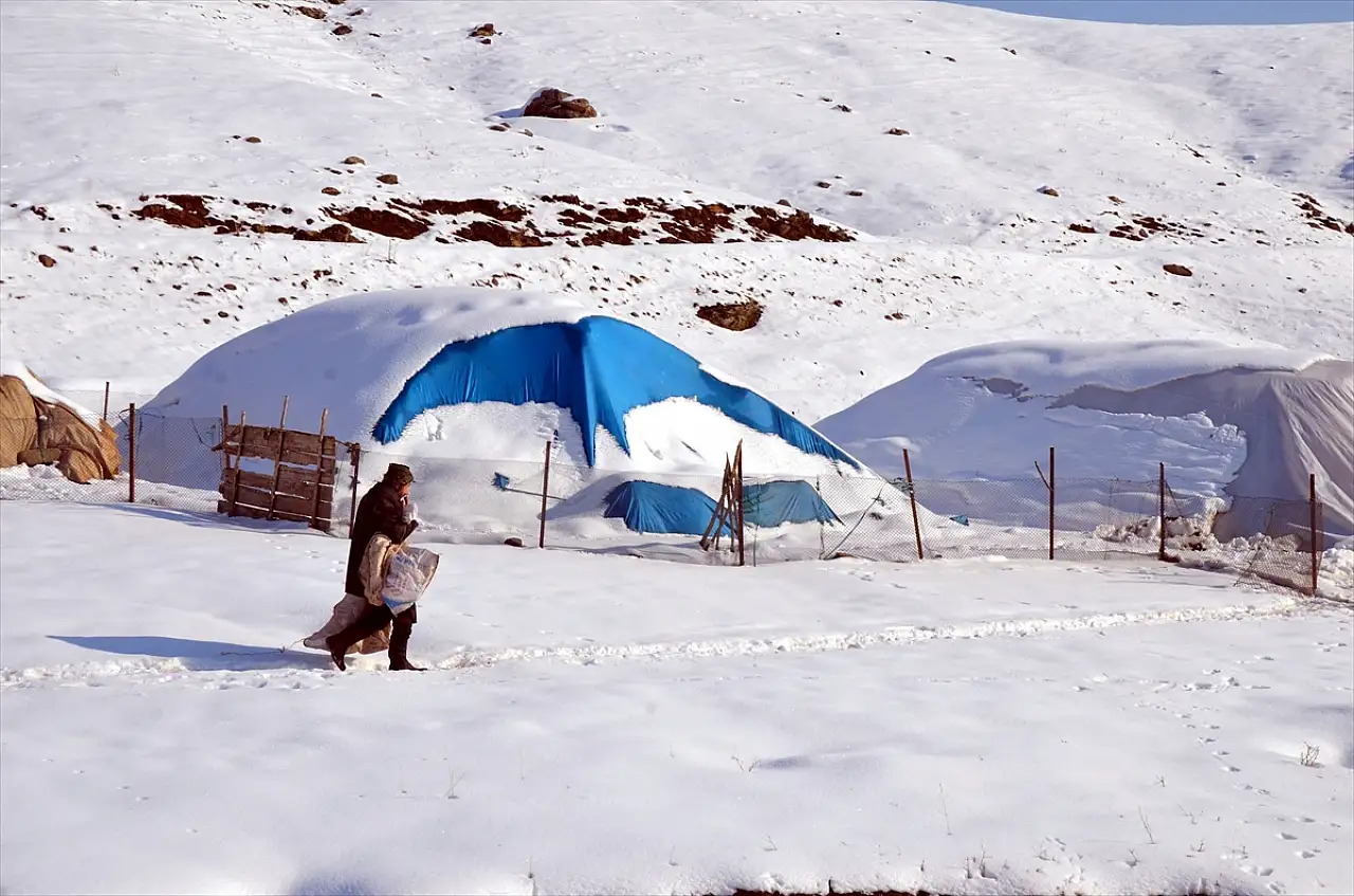 Muş'ta besicilerin zorlu kış mesaisi devam ediyor