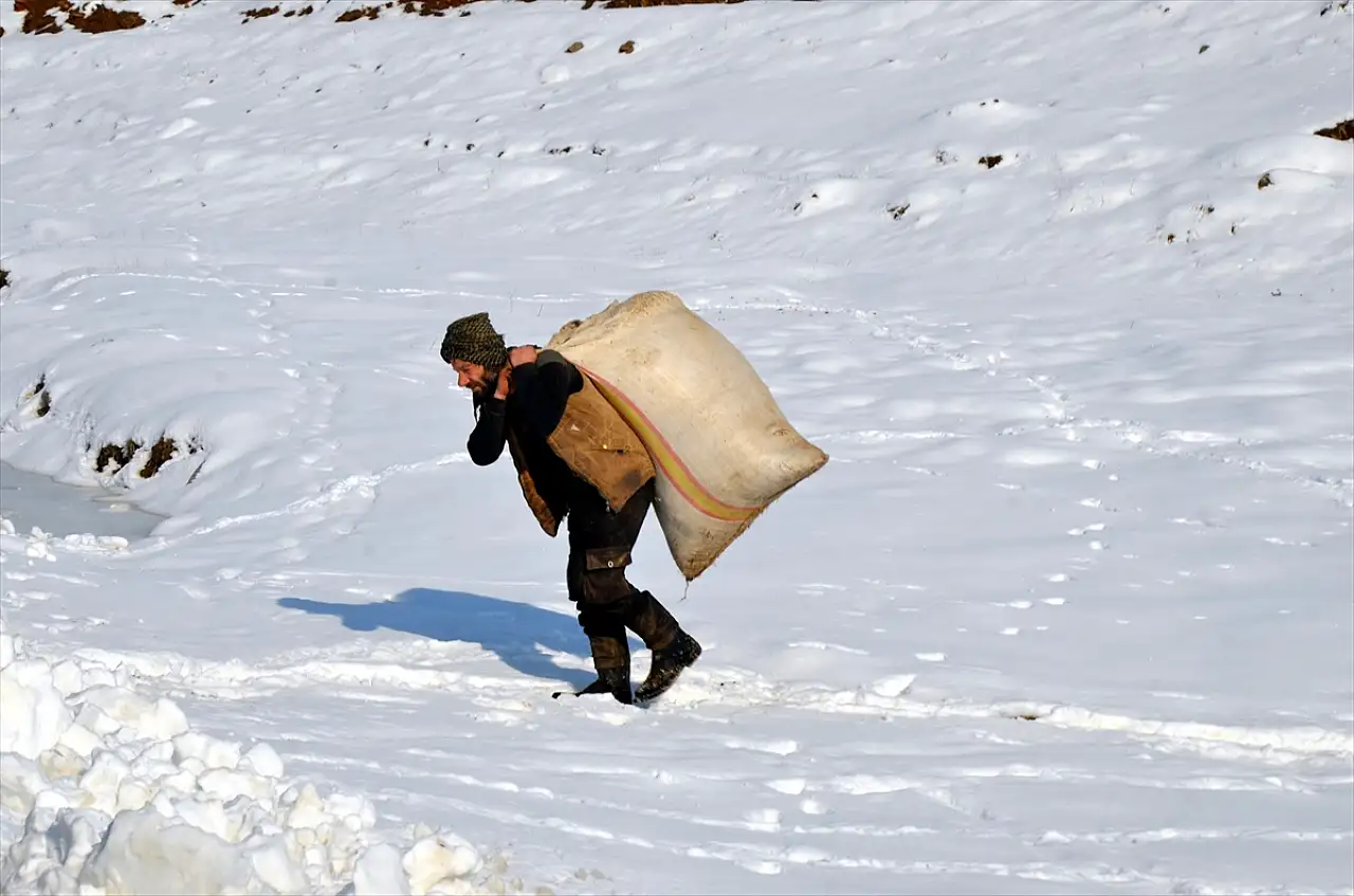 Muş'ta besicilerin zorlu kış mesaisi devam ediyor