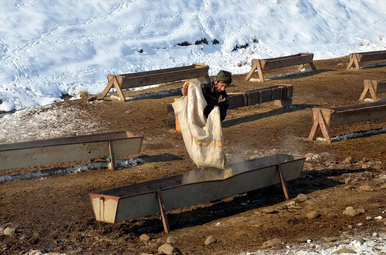 Muş'ta besicilerin zorlu kış mesaisi devam ediyor