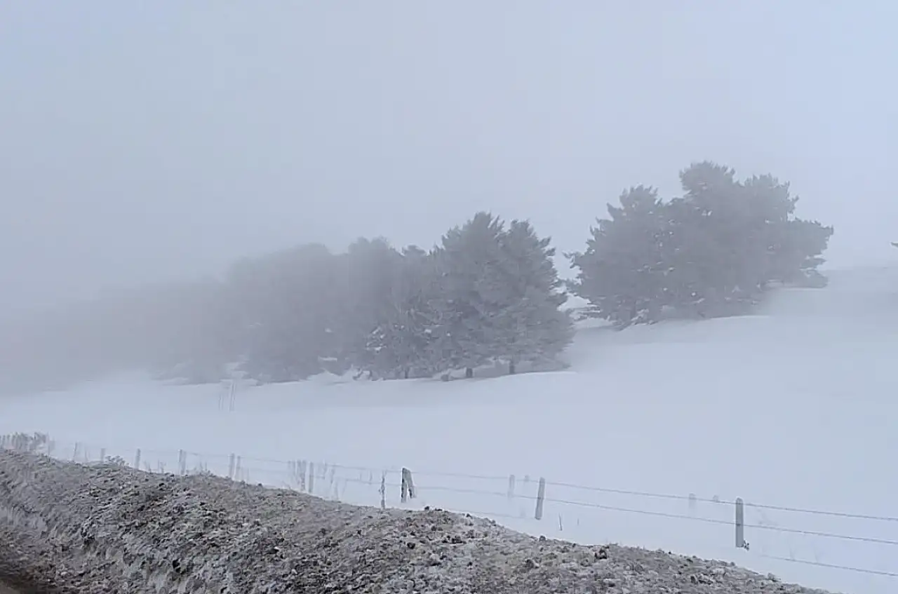 Ağrı'da sabahın ilk ışıklarında sis ve kırağı etkili oldu