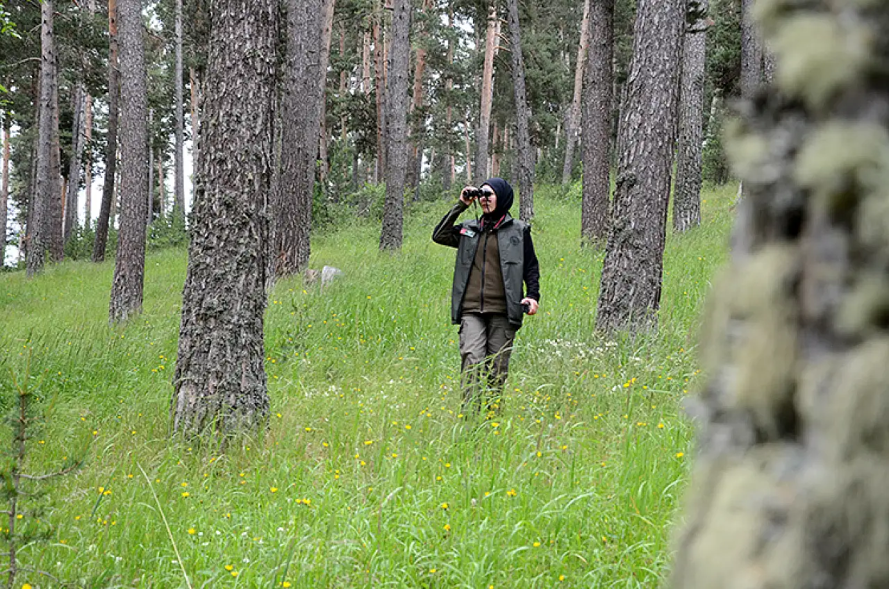 Ormanlar için 7/24 nöbet: 'Ateş savaşçıları' yangınları önlemek için hazır!