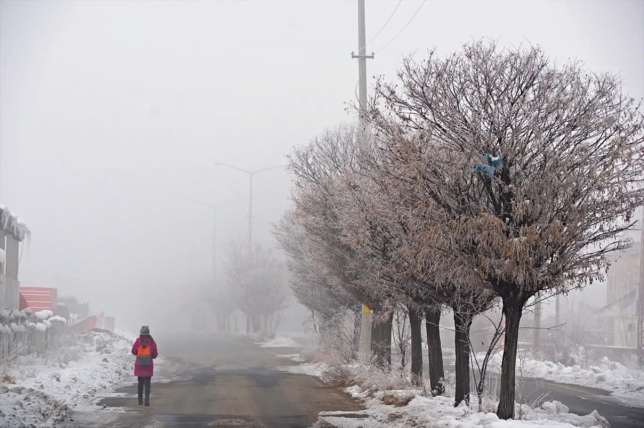 Soğuk hava Ağrı'yı esir aldı