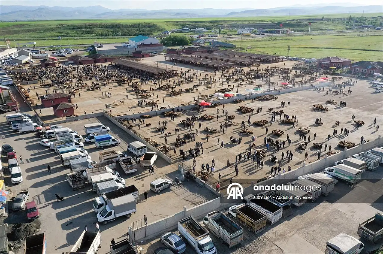 Ağrı'da kurbanlık telaşı başladı