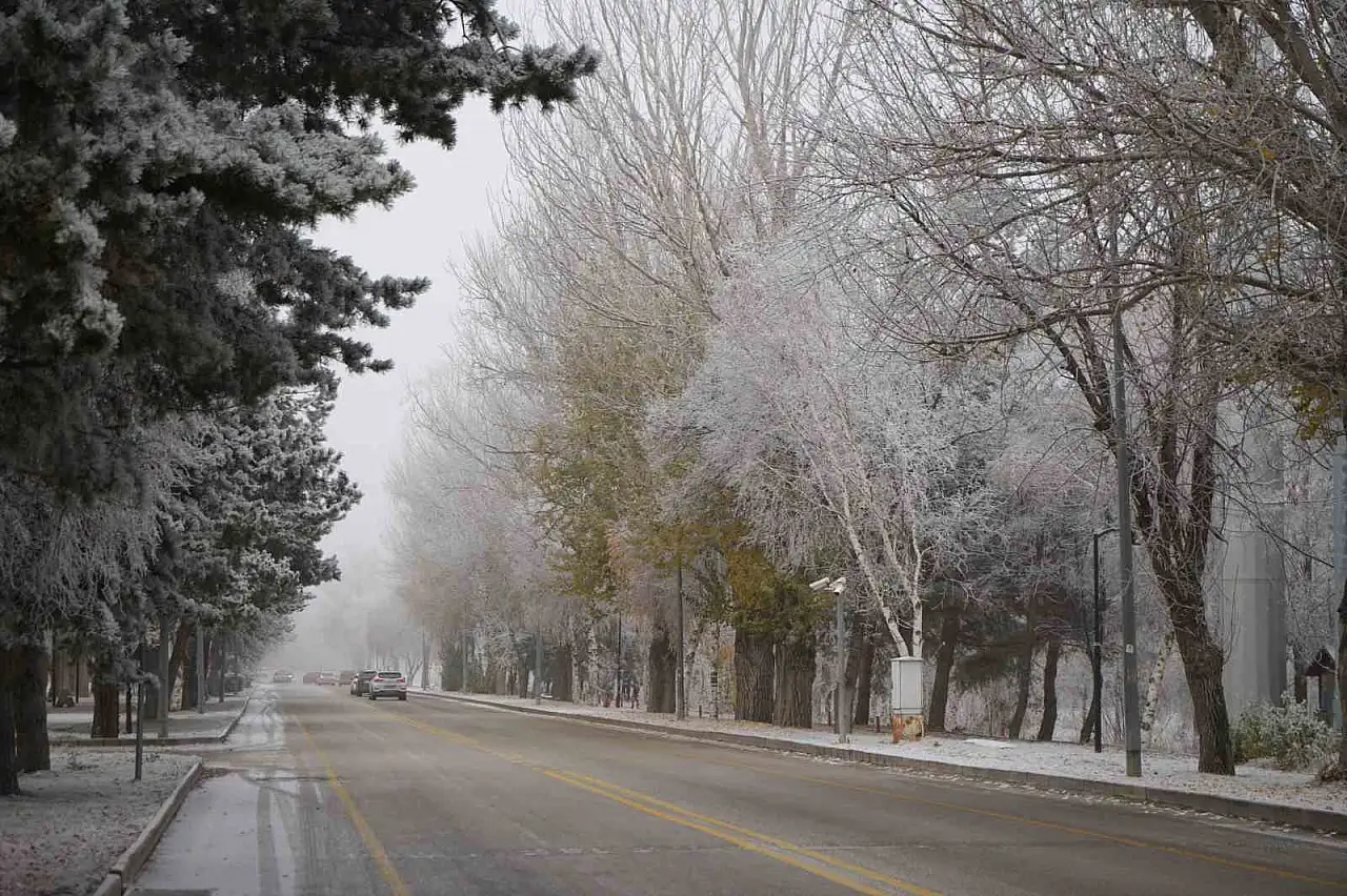 Erzurum'da soğuk hava ve sis etkisiyle buzlanma uyarısı yapıldı