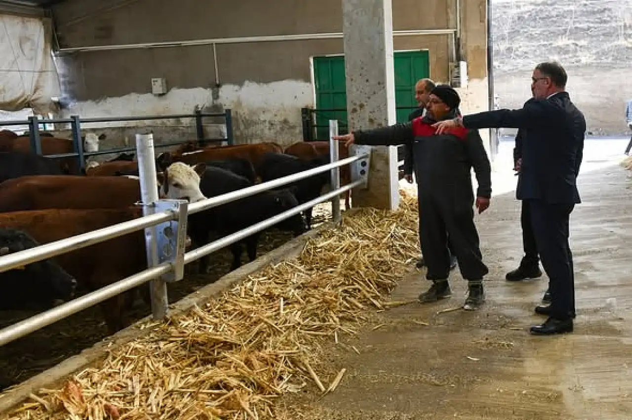 Van'da Düve Üretim Merkezi Bölge Hayvancılığına Güç Katacak