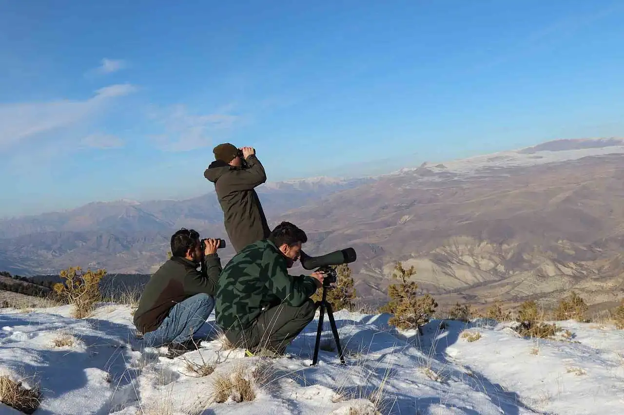 Erzurum'da Yaban Keçisi Popülasyonu İçin Envanter Çalışmaları Başladı