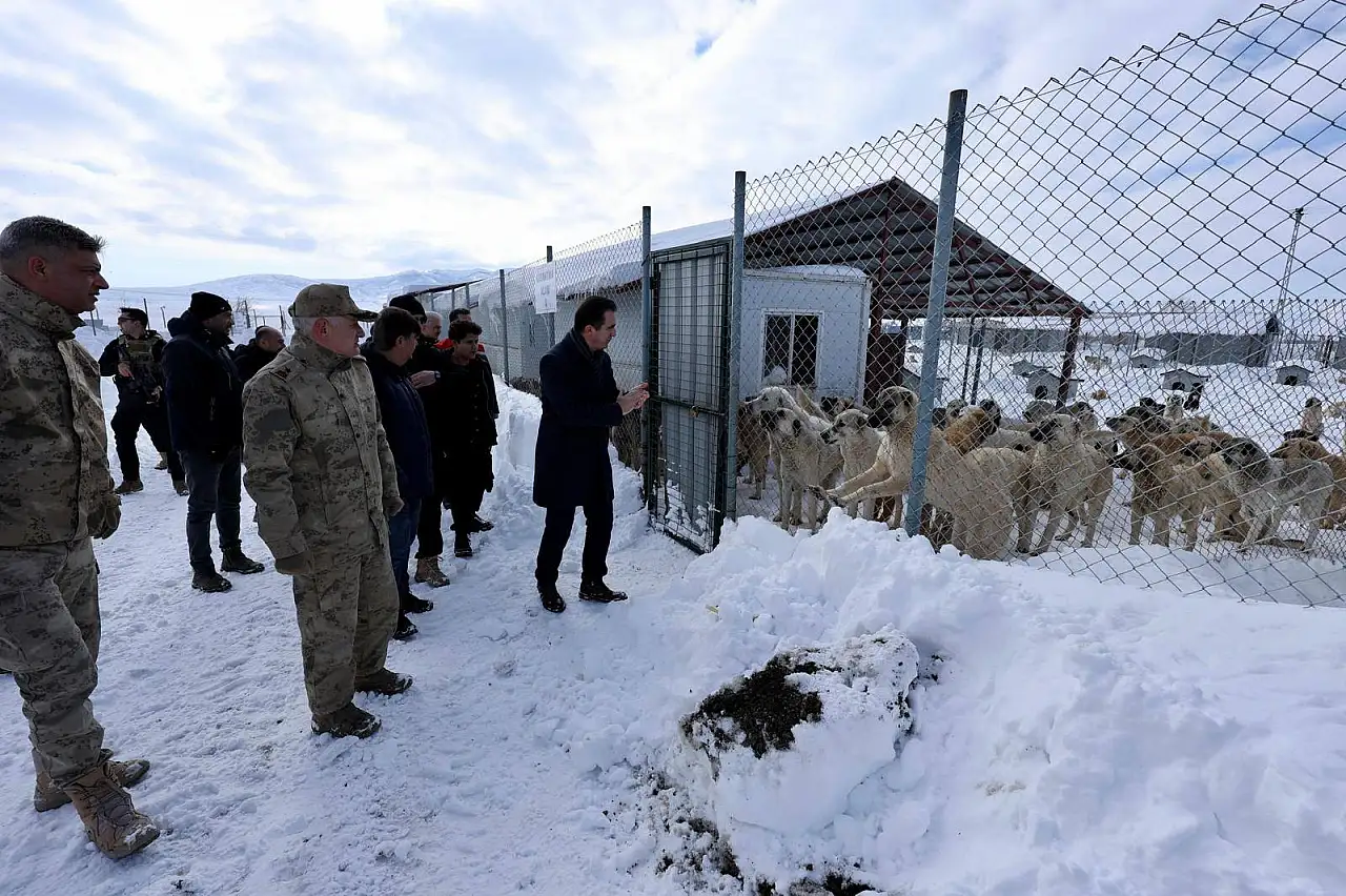 Bitlis'te Sokak Hayvanları İçin Kış Tedbirleri Yerinde İncelendi