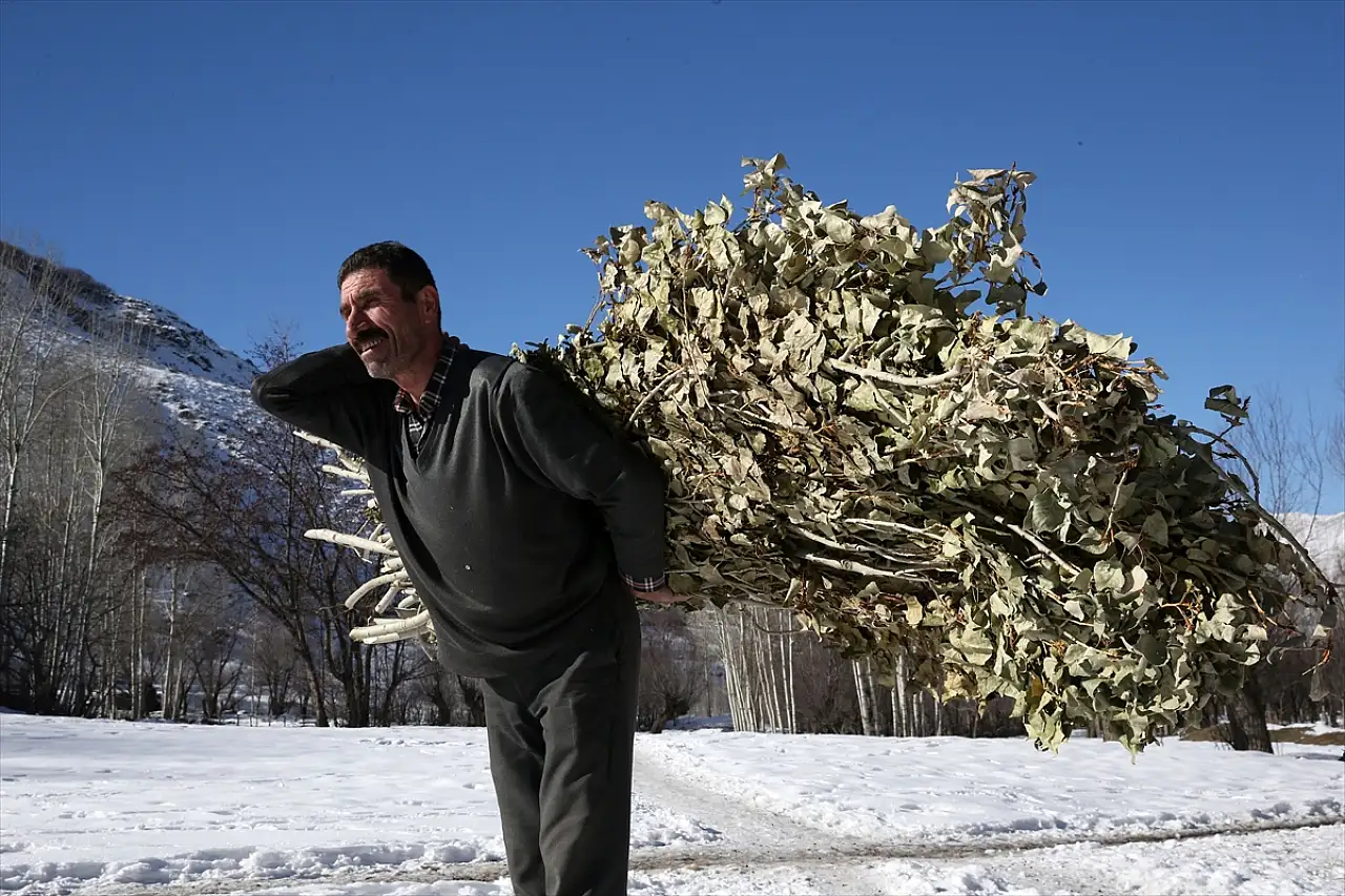 Muş ve Bitlis'te besiciler zorlu kış mesaileri