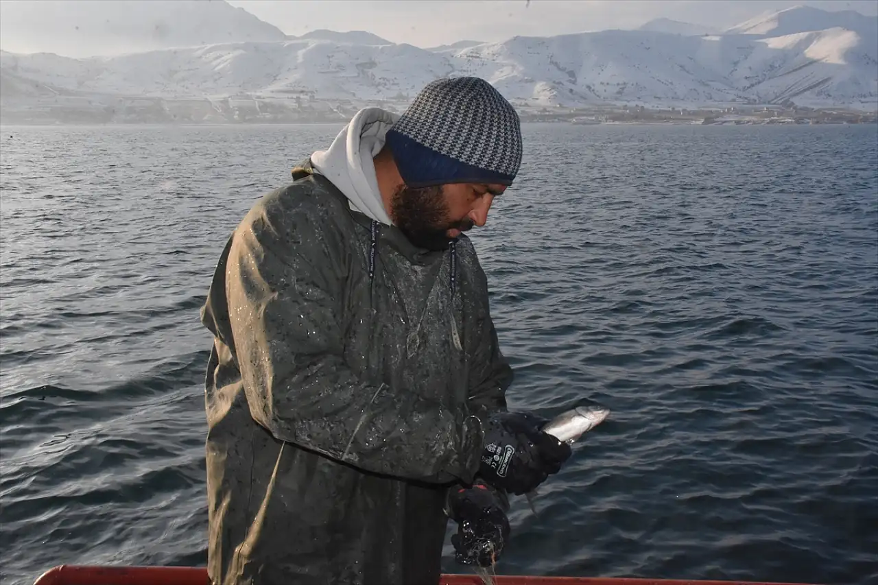 Van Gölü'nde üç kuşaktır süren balıkçılık geleneği