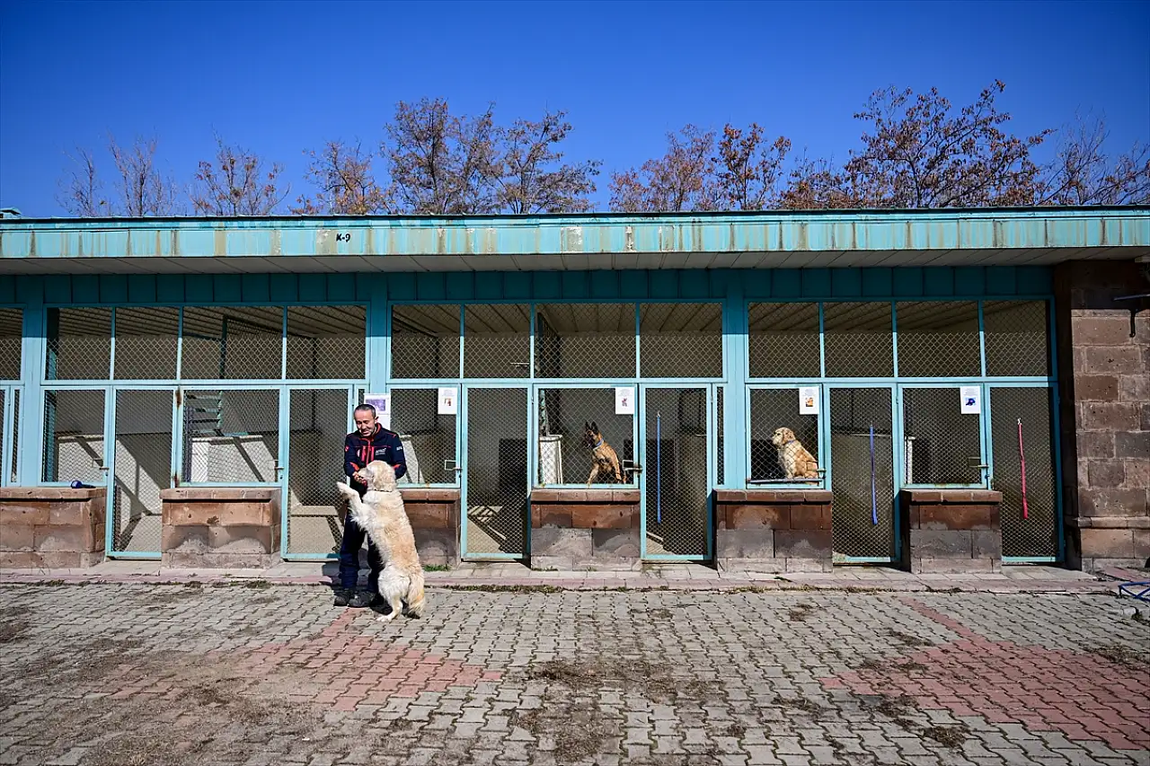 Van'da arama kurtarma kahramanı 'Poyraz' emekliliğini AFAD yerleşkesinde geçirecek