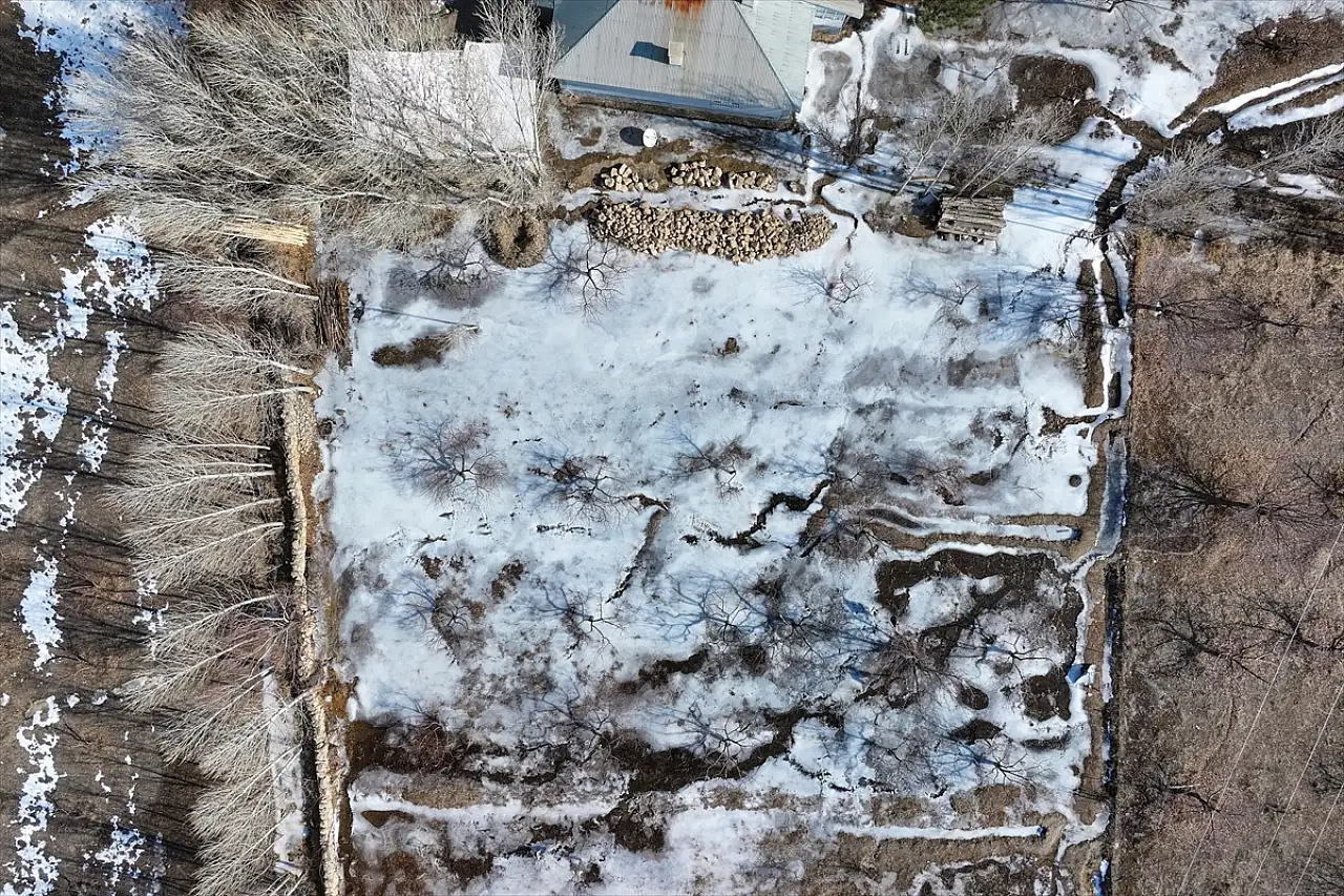 Van'da meyve bahçeleri buzla kaplandı