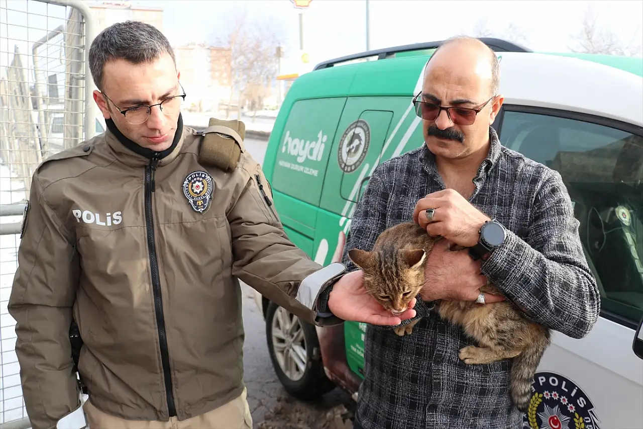 Erzurum'da donmaktan kurtarılan kediler polis merkezinin maskotu oldu
