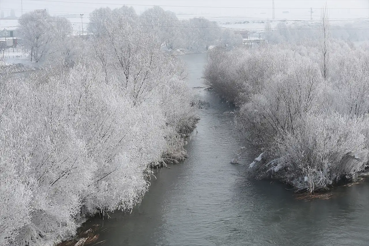 Muş'ta dondurucu soğuklar etkisini sürdürüyor