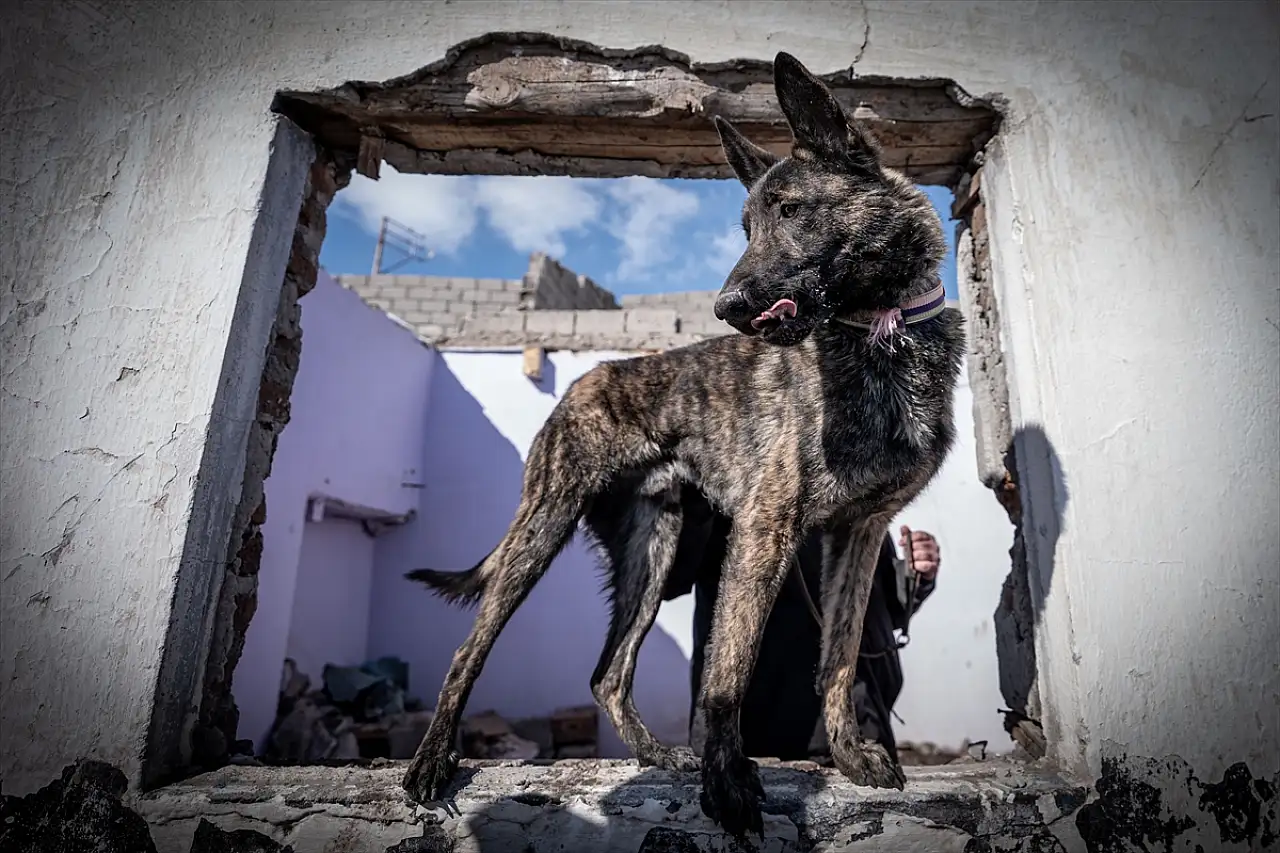 Erzurum'un gönüllü arama kurtarma ekibi, afetlere karşı sürekli eğitimde