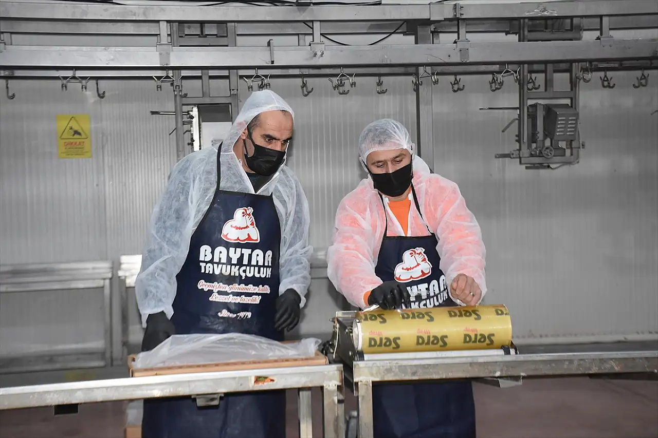 Van'da devlet desteğiyle büyüyen işletme yılda 300 ton tavuk eti işliyor