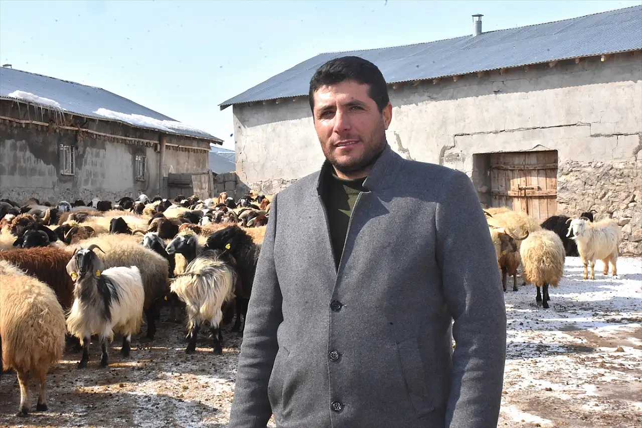 Vanlı çiftçi, süngerleme yöntemiyle kuzu verimini artırdı
