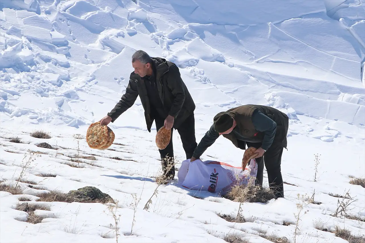 Doğu Anadolu'da yaban hayvanları için 14 tondan fazla yem bırakıldı