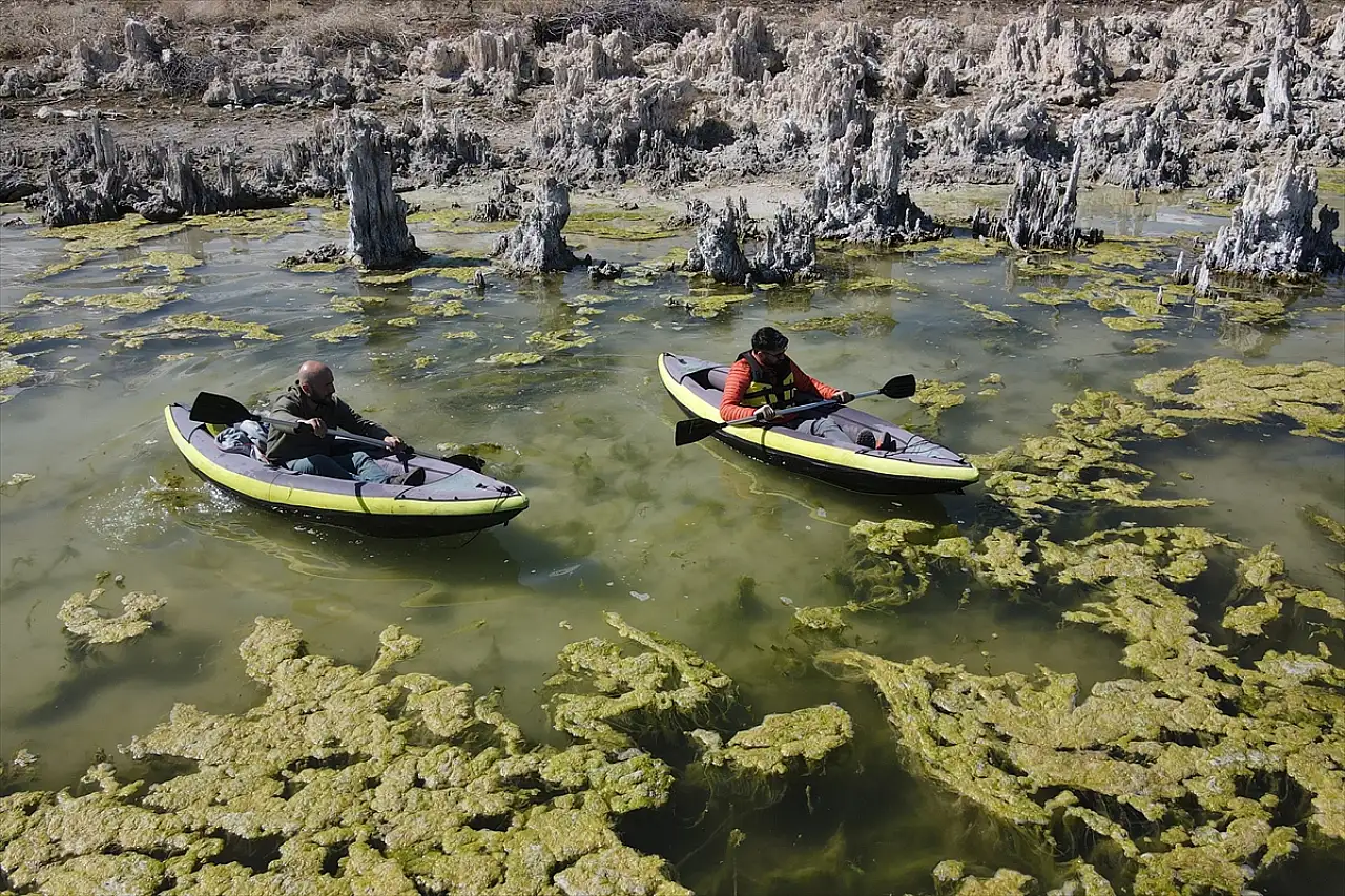 Van Gölü'nün çekilmesiyle ortaya çıkan mikrobiyalitler ilgi odağı oldu