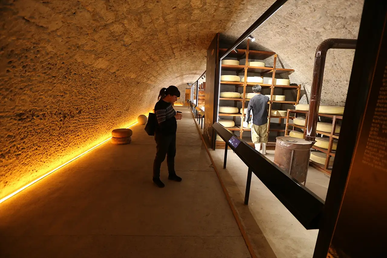 Kars'taki Peynir Müzesi'nde asırlık süt çekme makinesiyle tarihe yolculuk