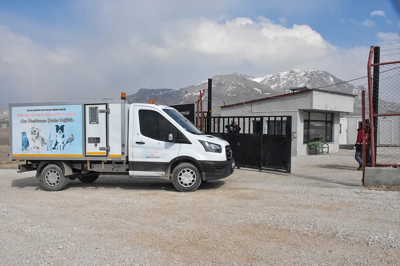 Van'da sahipsiz köpeklere güvenli yuva