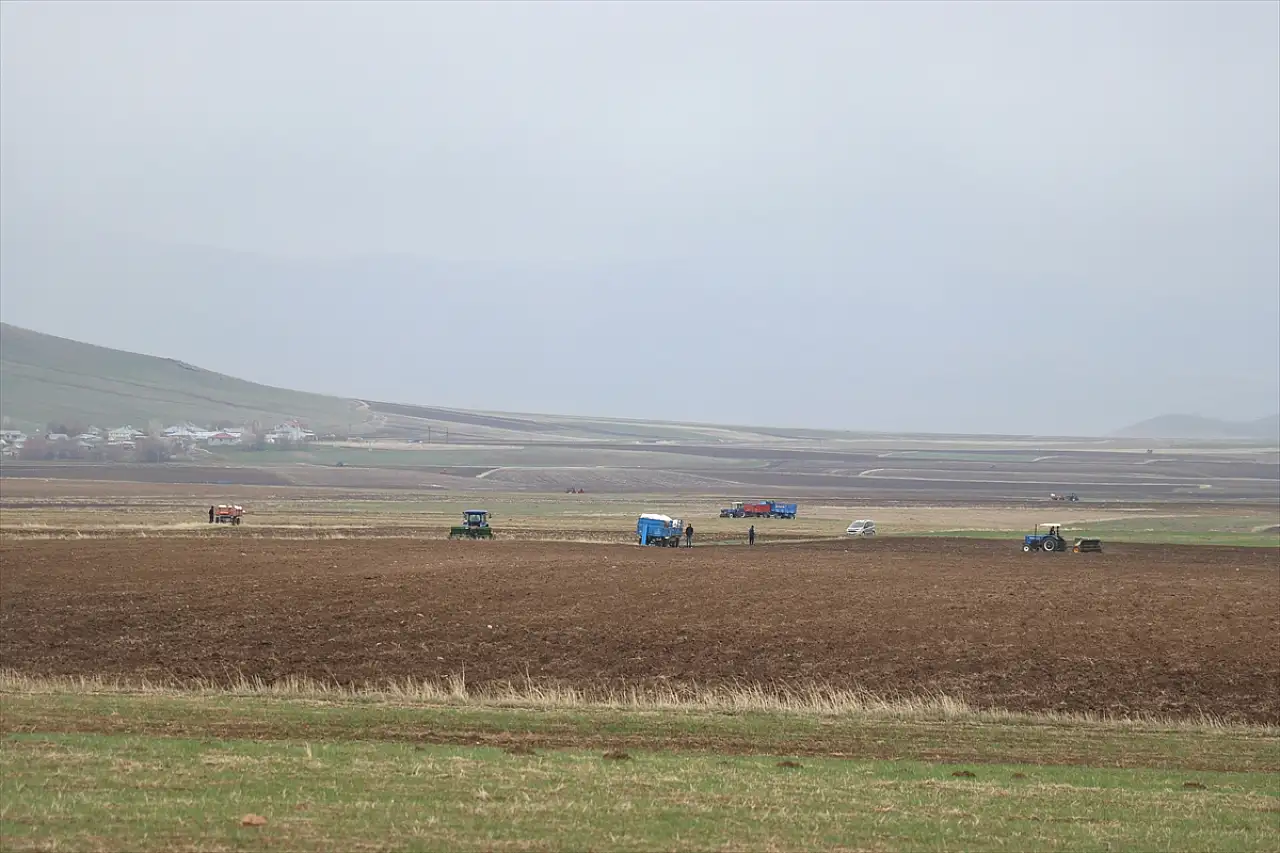 Ağrı'da çiftçilerin sabırlı bekleyişi sona erdi