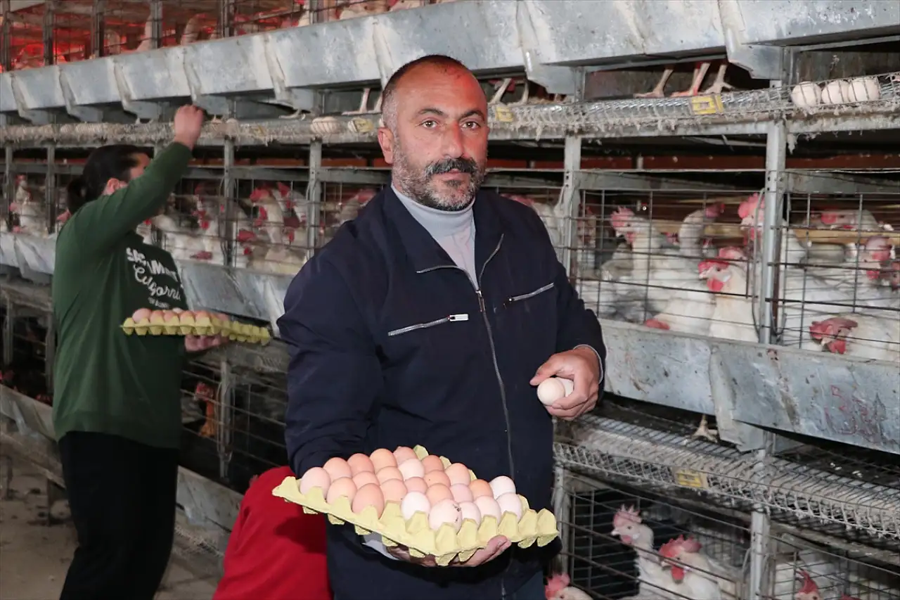 Erzurum'da yumurtanın hikayesi çadırda başladı