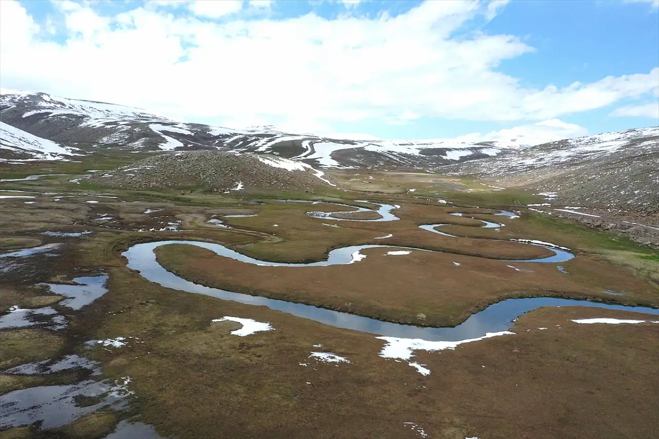 Ağrı'da iki mevsim bir arada: Dağda kar, ovada bahar