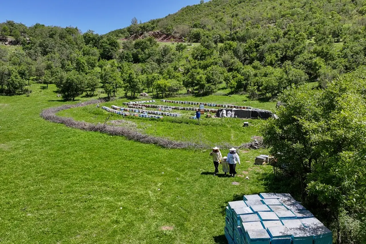 Şehir Hayatını Geride Bıraktılar, Bal Üretimiyle Geçim Sağlıyorlar