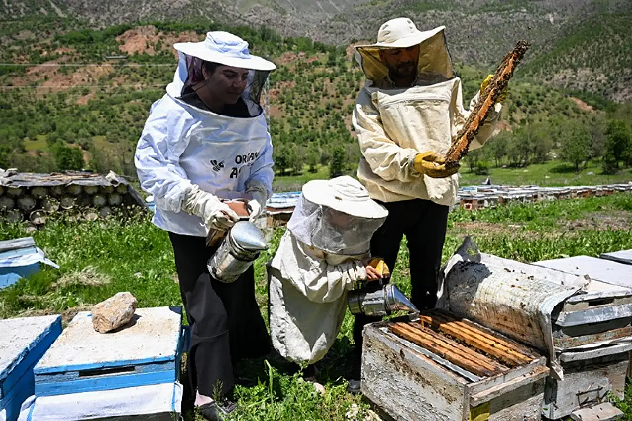 Şehir Hayatını Geride Bıraktılar, Bal Üretimiyle Geçim Sağlıyorlar