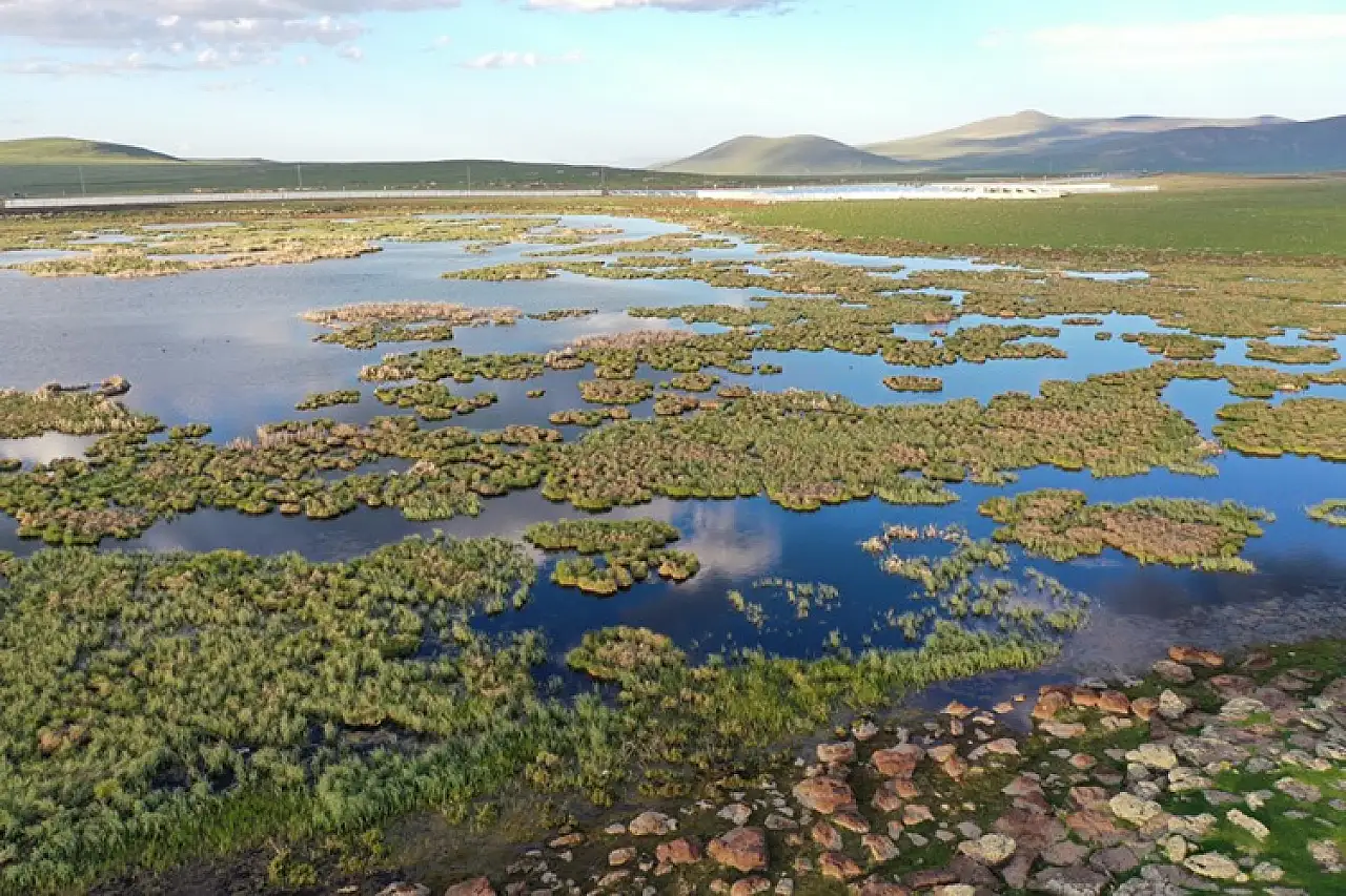 Çalı Gölü, Mayıs'ta 137 Farklı Kuş Türüne Ev Sahipliği Yaptı!
