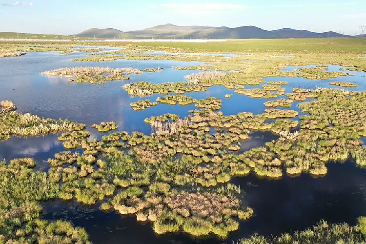 Çalı Gölü, Mayıs'ta 137 Farklı Kuş Türüne Ev Sahipliği Yaptı!