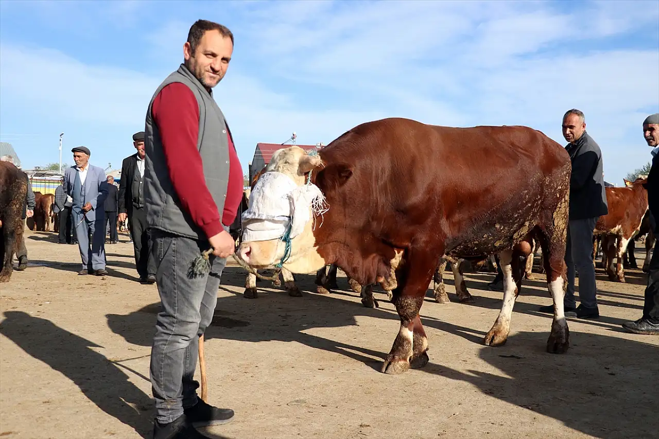 Ağrı'da kurbanlık telaşı başladı