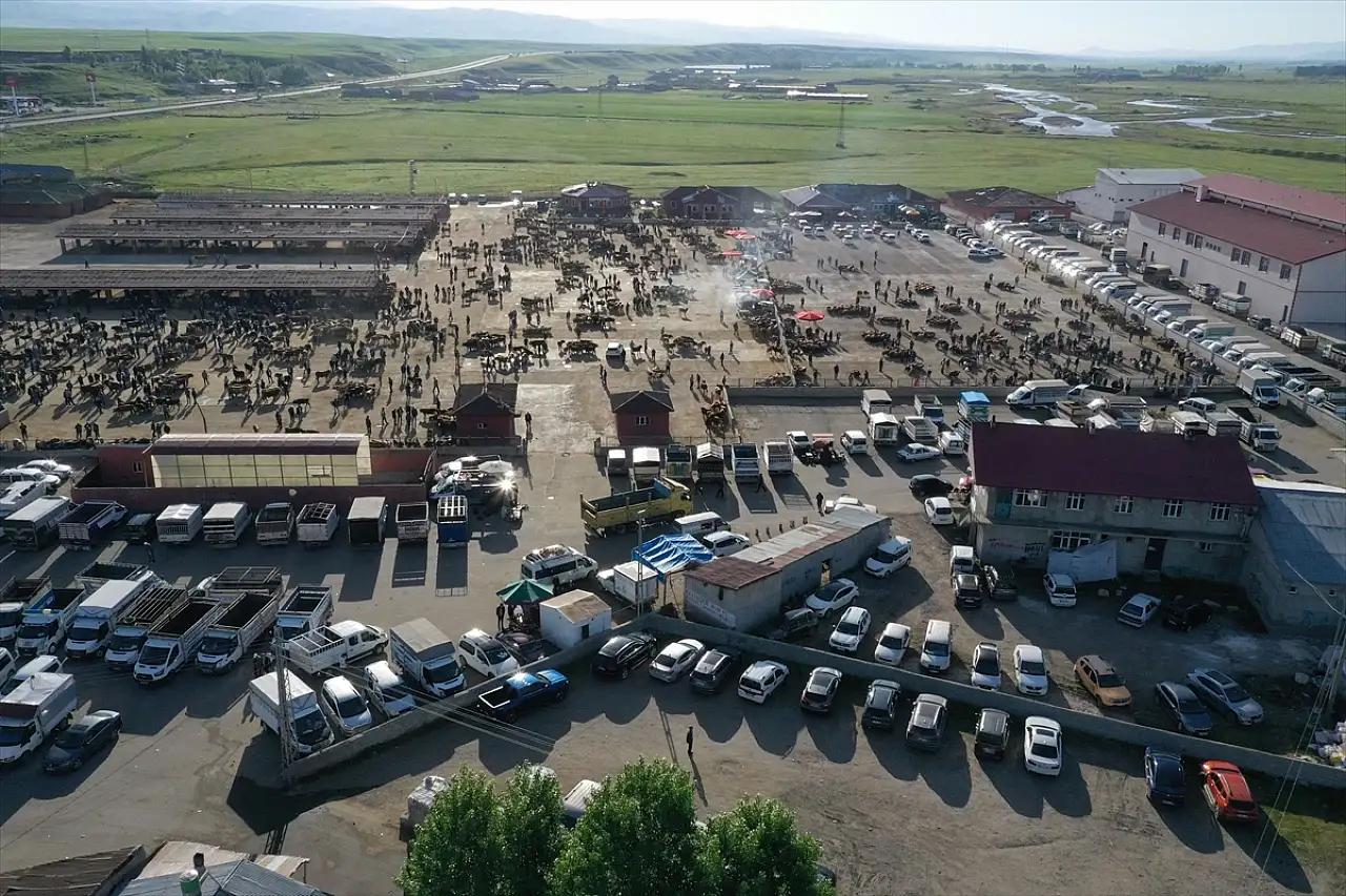 2025'te Ağrı'dan 140 bin kurbanlık sevk edildi