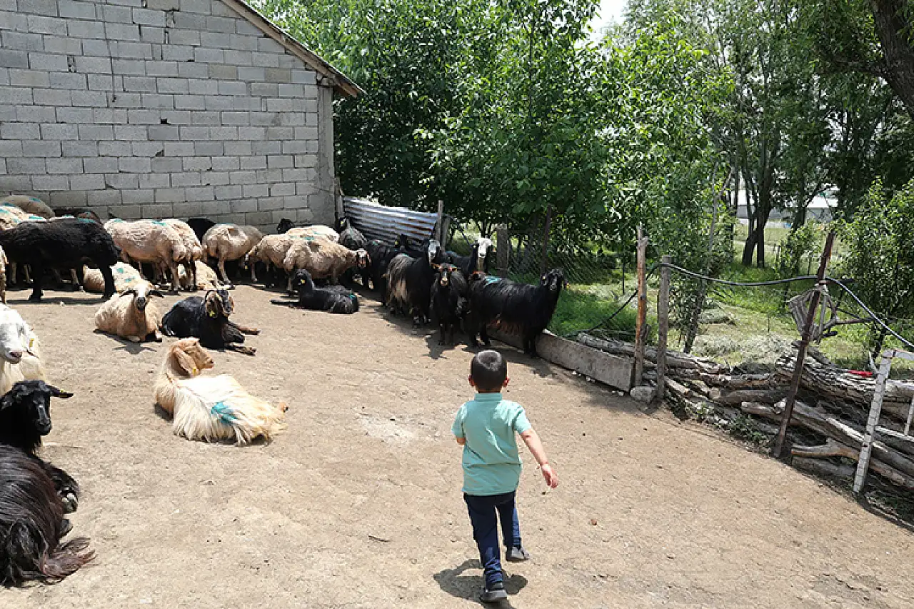 Yılmaz çiftinin evlat hasreti sona erdi, Araz ailelerine neşe kattı